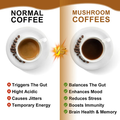 Mushroom Coffee | Medium Roast